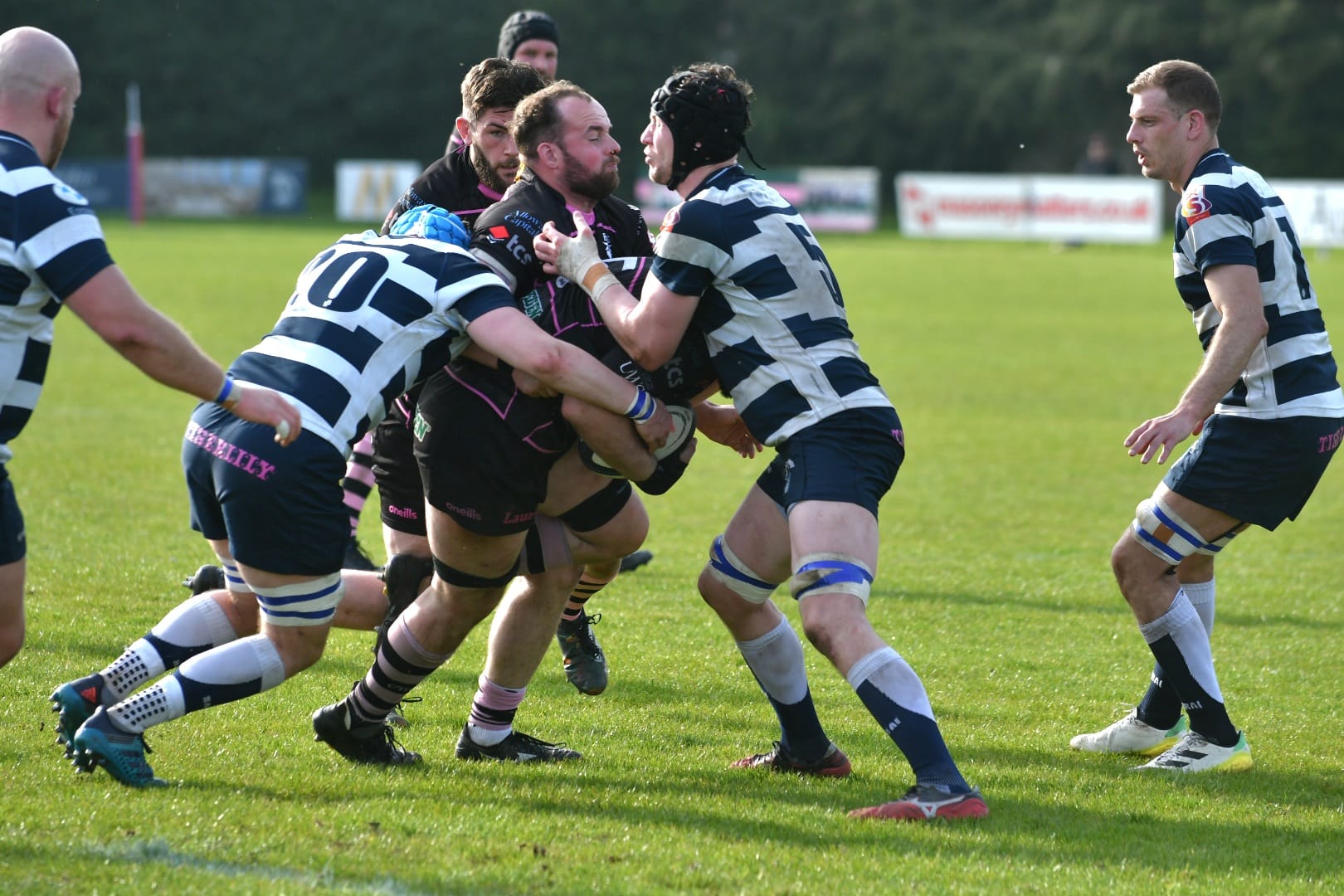 Bulls and Heriots split the points at Millbrae Ayrshire Bulls Rugby